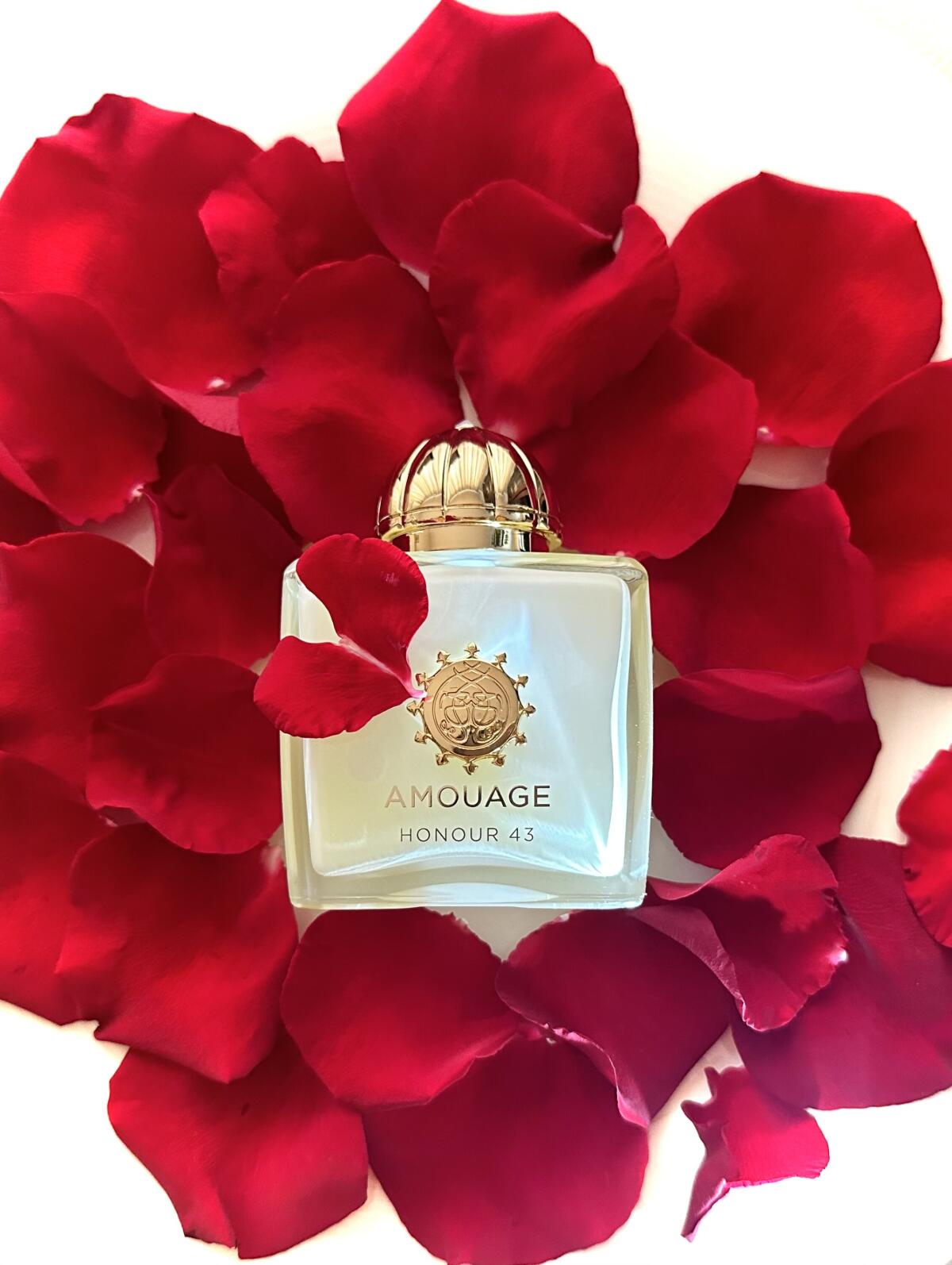 สินค้าหมดสต็อก - กรุณาอย่าสั่ง - Perfume Fragrance Families บทวิจารณ์และราคา